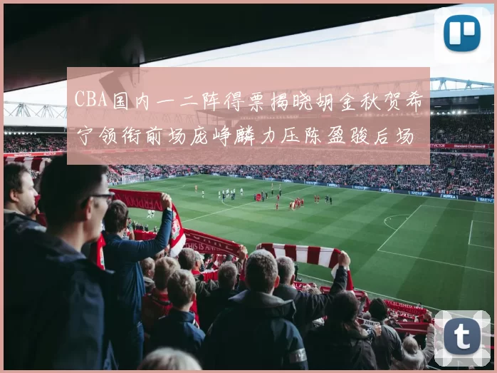 CBA国内一二阵得票揭晓胡金秋贺希宁领衔前场庞峥麟力压陈盈骏后场